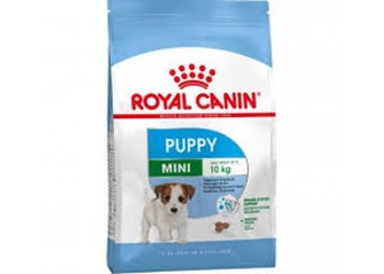 Royal Canin Taglia mini junior 800g 